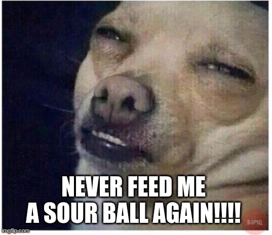 Sour Ball Results | NEVER FEED ME A SOUR BALL AGAIN!!!! | image tagged in funny | made w/ Imgflip meme maker