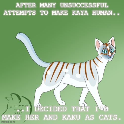 So here's Kaya.. | AFTER MANY UNSUCCESSFUL ATTEMPTS TO MAKE KAYA HUMAN.. ..I DECIDED THAT I'D MAKE HER AND KAKU AS CATS. | image tagged in cute cat | made w/ Imgflip meme maker