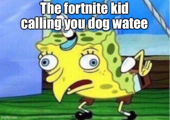 Mocking Spongebob | The fortnite kid calling you dog water | image tagged in memes,mocking spongebob | made w/ Imgflip meme maker