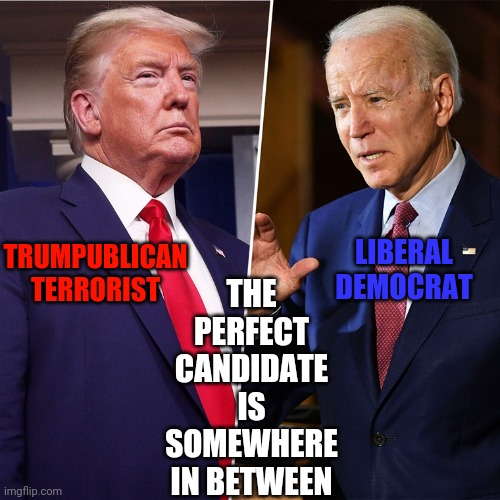 At Least We Don't Have To Worry About The President Trying To Crown Himself Now That Trump's Gone |  THE PERFECT CANDIDATE IS SOMEWHERE IN BETWEEN; LIBERAL DEMOCRAT; TRUMPUBLICAN TERRORIST | image tagged in trump biden,memes,trump unfit unqualified dangerous,sad joe biden,happy medium,american politics | made w/ Imgflip meme maker