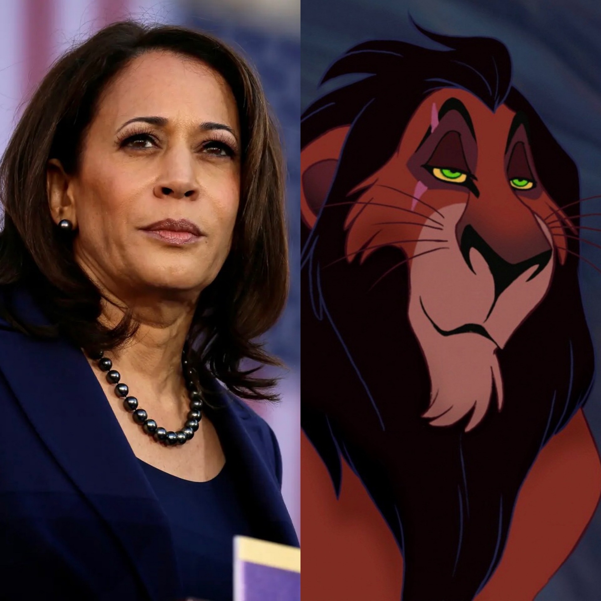 Kamala Blank Meme Template