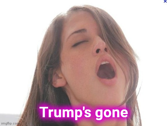 orgasm | Trump's gone | image tagged in orgasm | made w/ Imgflip meme maker