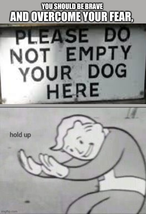 :) | YOU SHOULD BE BRAVE; AND OVERCOME YOUR FEAR, | image tagged in fallout hold up | made w/ Imgflip meme maker