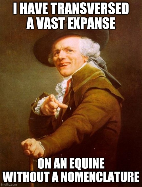 Joseph Ducreux | I HAVE TRANSVERSED A VAST EXPANSE; ON AN EQUINE WITHOUT A NOMENCLATURE | image tagged in memes,joseph ducreux | made w/ Imgflip meme maker
