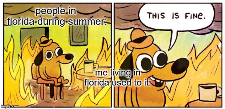 this is what it feels like to be in florida during summer | people in  florida during summer:; me living in florida used to it: | image tagged in memes,this is fine | made w/ Imgflip meme maker
