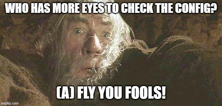 Always trust a wizard - even with IT | WHO HAS MORE EYES TO CHECK THE CONFIG? (A) FLY YOU FOOLS! | image tagged in gandalf fly you fools | made w/ Imgflip meme maker