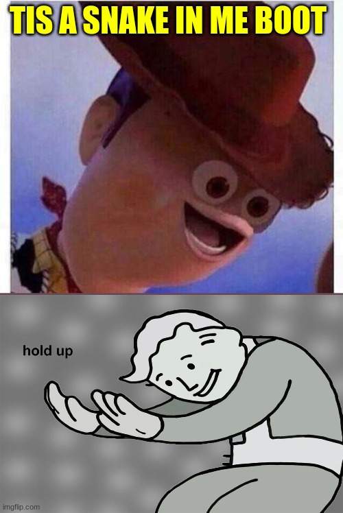 he got bit | TIS A SNAKE IN ME BOOT | image tagged in hol up,woody,snake | made w/ Imgflip meme maker