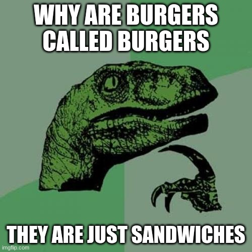 Philosoraptor | WHY ARE BURGERS CALLED BURGERS; THEY ARE JUST SANDWICHES | image tagged in memes,philosoraptor | made w/ Imgflip meme maker
