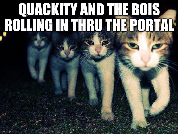 Dream sucks :) |  QUACKITY AND THE BOIS ROLLING IN THRU THE PORTAL | image tagged in memes,wrong neighboorhood cats | made w/ Imgflip meme maker