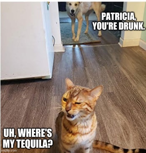 lol | PATRICIA, YOU'RE DRUNK. UH, WHERE'S MY TEQUILA? | image tagged in drunk | made w/ Imgflip meme maker