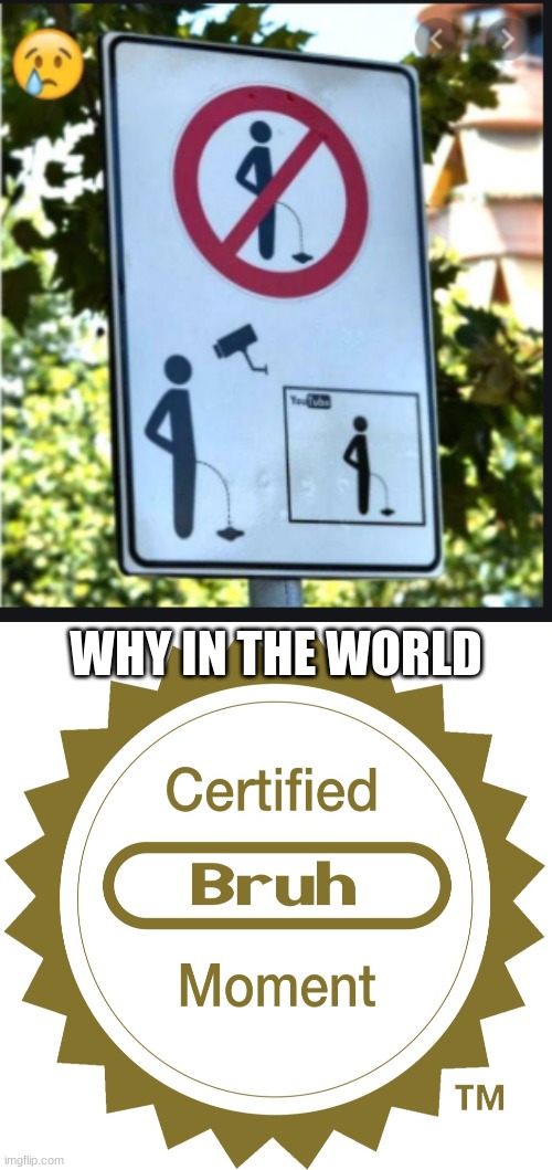 WHY IN THE WORLD | image tagged in certified bruh moment | made w/ Imgflip meme maker