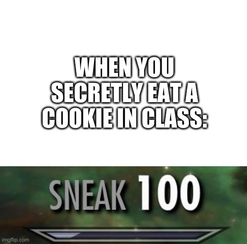 another thing based on recent events (i can still taste it) | WHEN YOU SECRETLY EAT A COOKIE IN CLASS: | image tagged in memes,funny,sneak 100,cookies,school | made w/ Imgflip meme maker