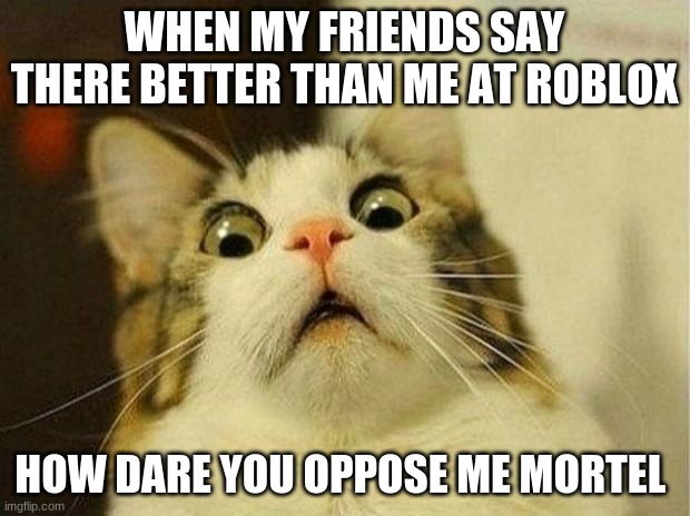 Scared Cat Meme | WHEN MY FRIENDS SAY THERE BETTER THAN ME AT ROBLOX; HOW DARE YOU OPPOSE ME MORTEL | image tagged in memes,scared cat | made w/ Imgflip meme maker