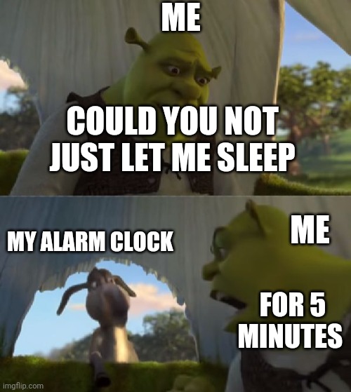 Could you not ___ for 5 MINUTES | ME; COULD YOU NOT JUST LET ME SLEEP; ME; MY ALARM CLOCK; FOR 5 MINUTES | image tagged in could you not ___ for 5 minutes | made w/ Imgflip meme maker