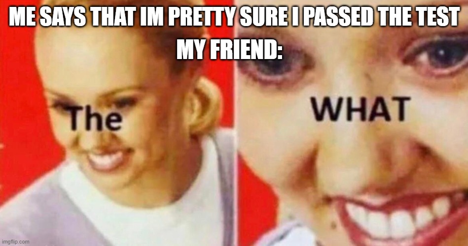 the what | MY FRIEND:; ME SAYS THAT IM PRETTY SURE I PASSED THE TEST | image tagged in the what | made w/ Imgflip meme maker