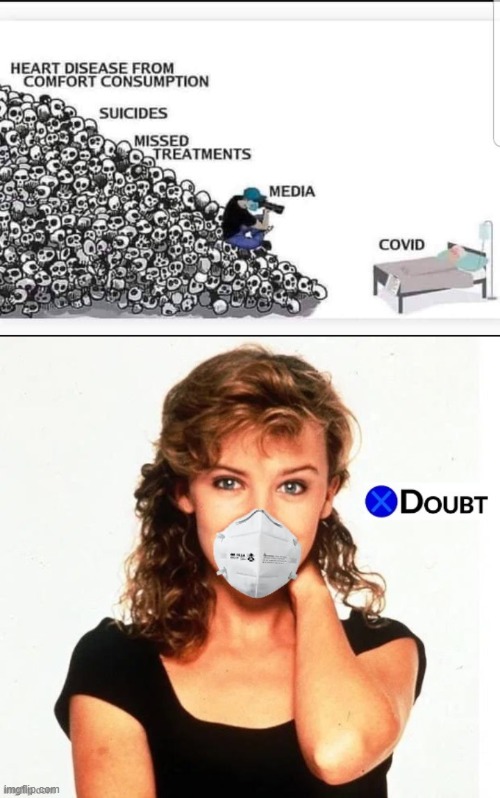 something tells me this comic is not to scale | image tagged in covid comic wrong,kylie x doubt with face mask | made w/ Imgflip meme maker