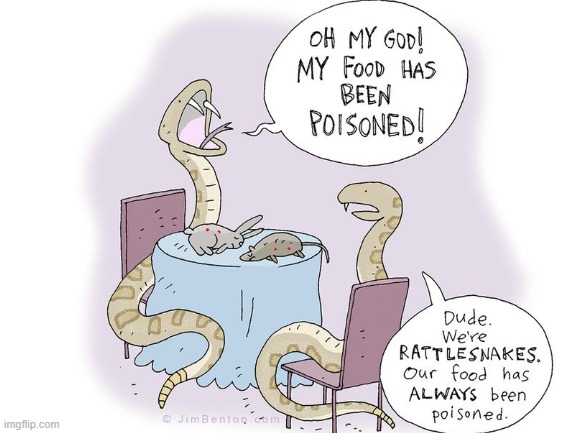 I wonder what it's actually like to have your food poisoned? | image tagged in comics,snakes,comics/cartoons | made w/ Imgflip meme maker