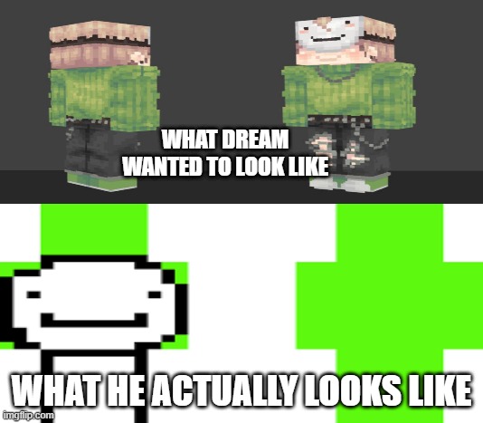 WHAT DREAM WANTED TO LOOK LIKE; WHAT HE ACTUALLY LOOKS LIKE | image tagged in funny memes | made w/ Imgflip meme maker