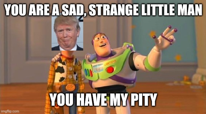 TOYSTORY EVERYWHERE | YOU ARE A SAD, STRANGE LITTLE MAN; YOU HAVE MY PITY | image tagged in toystory everywhere | made w/ Imgflip meme maker