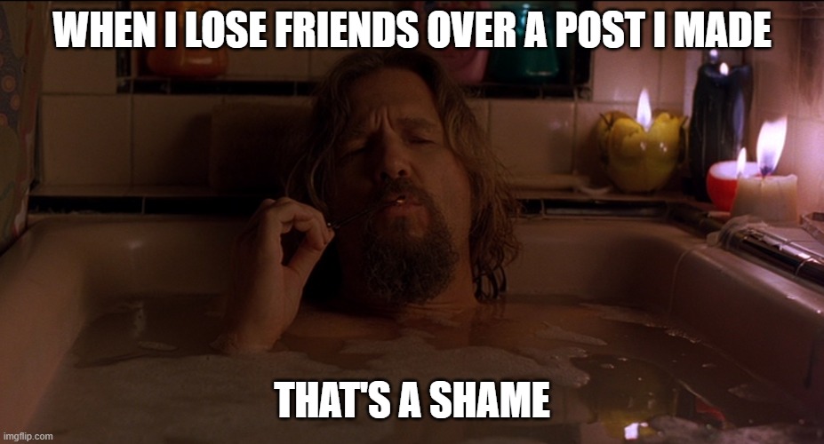 Shame that I Lost Friends over a Post |  WHEN I LOSE FRIENDS OVER A POST I MADE; THAT'S A SHAME | image tagged in the dude | made w/ Imgflip meme maker
