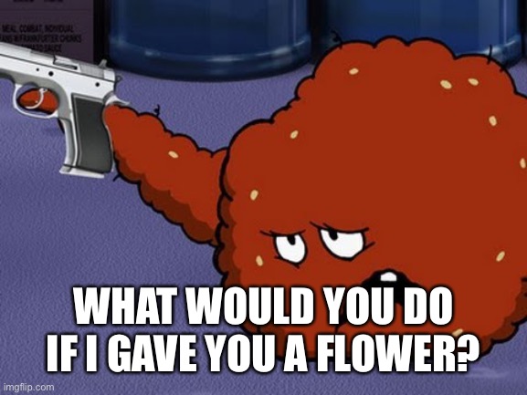 Meatwad with a gun | WHAT WOULD YOU DO IF I GAVE YOU A FLOWER? | image tagged in meatwad with a gun | made w/ Imgflip meme maker