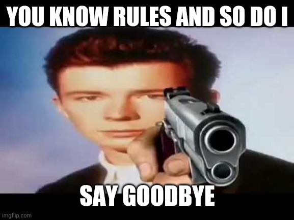 YOU KNOW RULES AND SO DO I SAY GOODBYE | made w/ Imgflip meme maker