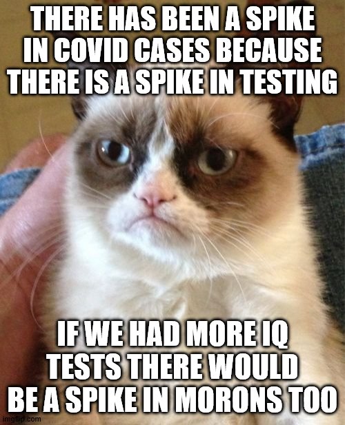 Spike in COVID cases | THERE HAS BEEN A SPIKE IN COVID CASES BECAUSE THERE IS A SPIKE IN TESTING; IF WE HAD MORE IQ TESTS THERE WOULD BE A SPIKE IN MORONS TOO | image tagged in memes,grumpy cat | made w/ Imgflip meme maker