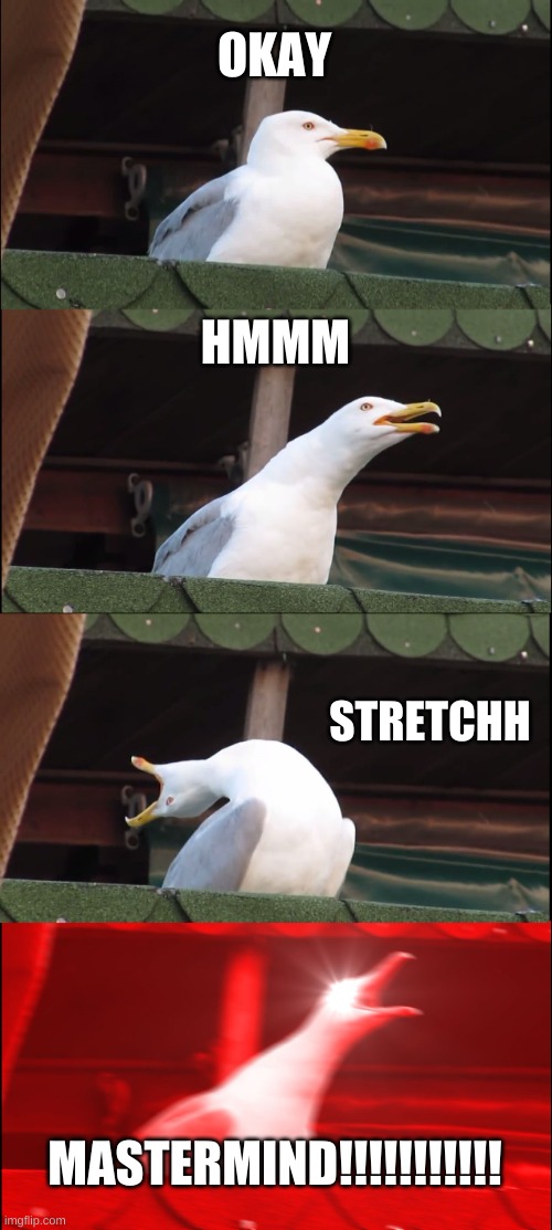 Inhaling Seagull | OKAY; HMMM; STRETCHH; MASTERMIND!!!!!!!!!!! | image tagged in memes,inhaling seagull | made w/ Imgflip meme maker