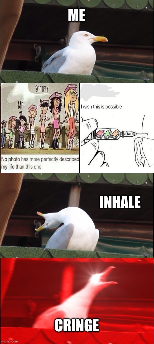 Inhaling Seagull Meme | ME; INHALE; CRINGE | image tagged in memes,inhaling seagull | made w/ Imgflip meme maker