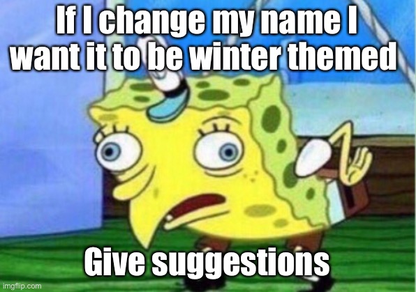 Idk | If I change my name I want it to be winter themed; Give suggestions | image tagged in memes,mocking spongebob | made w/ Imgflip meme maker