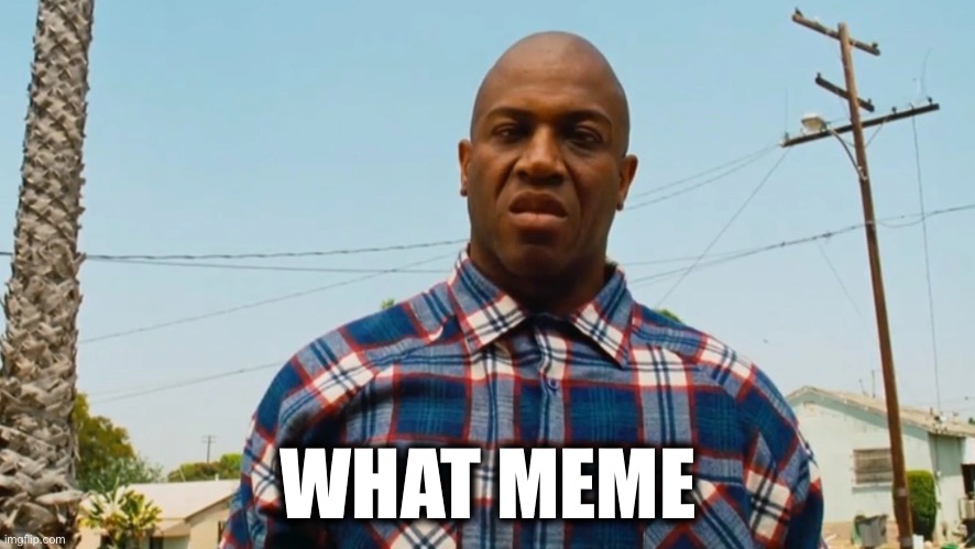 What meme | WHAT MEME | image tagged in debo friday | made w/ Imgflip meme maker