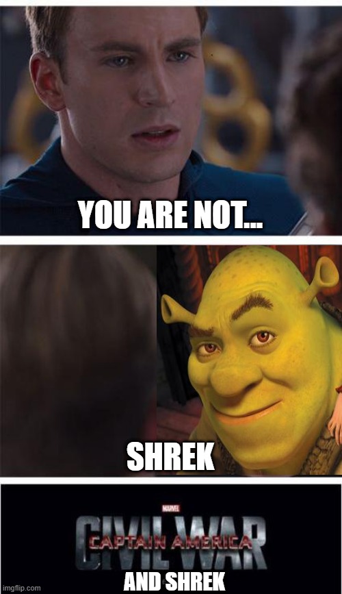 you are not shrek | YOU ARE NOT... SHREK; AND SHREK | image tagged in memes,marvel civil war 1 | made w/ Imgflip meme maker