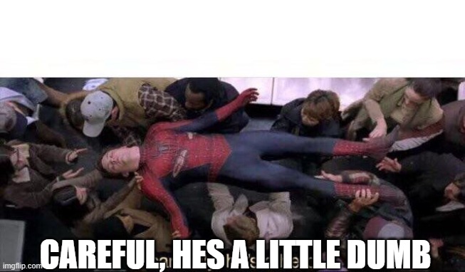 Carefully he's a hero | CAREFUL, HES A LITTLE DUMB | image tagged in carefully he's a hero | made w/ Imgflip meme maker