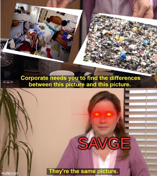 They're The Same Picture Meme | SAVGE | image tagged in memes,they're the same picture | made w/ Imgflip meme maker