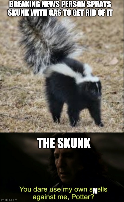 Just something i thought of randomly | BREAKING NEWS PERSON SPRAYS SKUNK WITH GAS TO GET RID OF IT; THE SKUNK; M | image tagged in you dare use my own spells against me | made w/ Imgflip meme maker