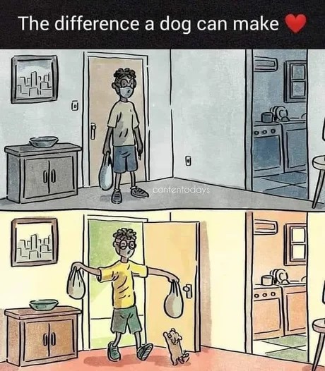 The difference a dog can make Blank Meme Template