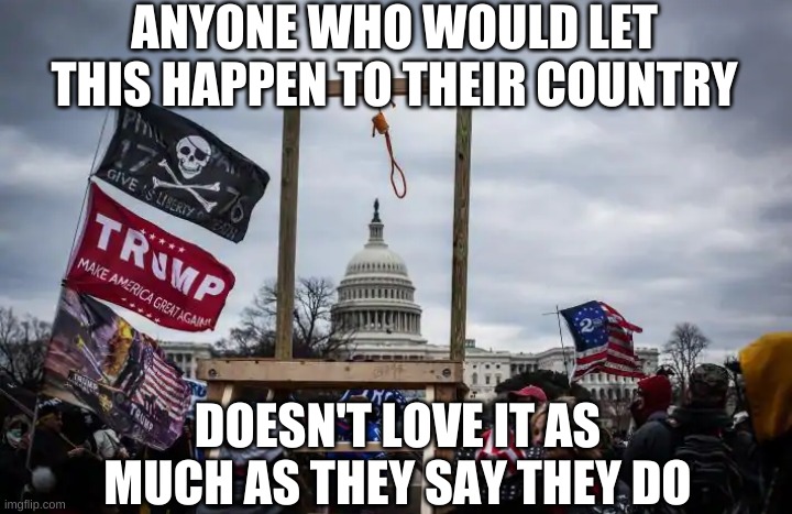 Being patriots was just another Don con | ANYONE WHO WOULD LET THIS HAPPEN TO THEIR COUNTRY; DOESN'T LOVE IT AS MUCH AS THEY SAY THEY DO | image tagged in trump,cult45,capitol hill,insurrection,coup | made w/ Imgflip meme maker