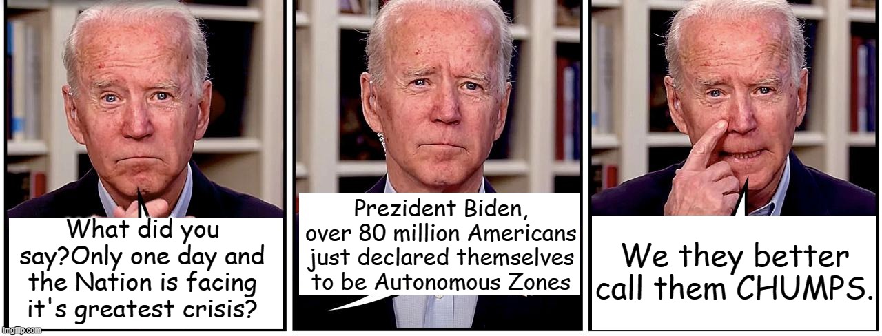 They've been peacefully protesting and haven't burned down a thing all day!!! | Prezident Biden, over 80 million Americans just declared themselves to be Autonomous Zones; We they better call them CHUMPS. What did you say?Only one day and the Nation is facing it's greatest crisis? | image tagged in biden | made w/ Imgflip meme maker