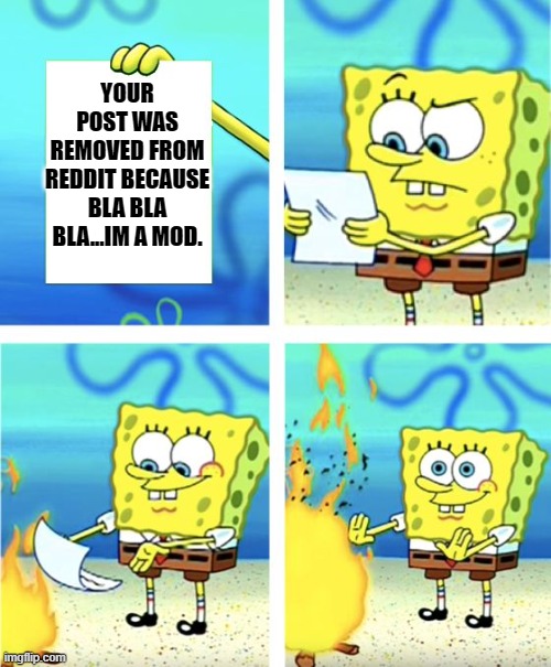 removed | YOUR POST WAS REMOVED FROM REDDIT BECAUSE BLA BLA BLA...IM A MOD. | image tagged in spongebob burning paper | made w/ Imgflip meme maker