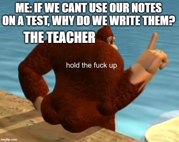Hold up | ME: IF WE CANT USE OUR NOTES ON A TEST, WHY DO WE WRITE THEM? THE TEACHER | image tagged in funny | made w/ Imgflip meme maker