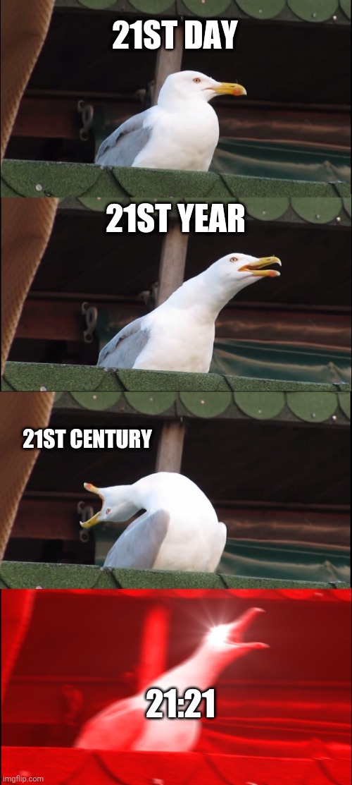 21 21 21 | 21ST DAY; 21ST YEAR; 21ST CENTURY; 21:21 | image tagged in memes,inhaling seagull | made w/ Imgflip meme maker