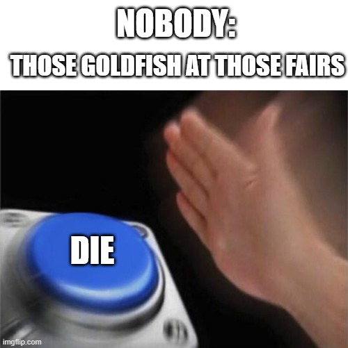 They always die | NOBODY:; THOSE GOLDFISH AT THOSE FAIRS; DIE | image tagged in memes,blank nut button | made w/ Imgflip meme maker
