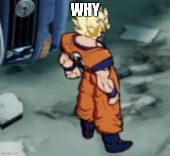 FighterZ Goku Template | WHY | image tagged in fighterz goku template | made w/ Imgflip meme maker