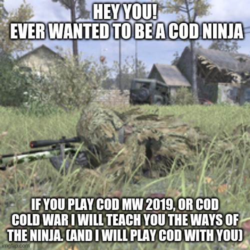 I'll teach ya | HEY YOU!
 EVER WANTED TO BE A COD NINJA; IF YOU PLAY COD MW 2019, OR COD COLD WAR I WILL TEACH YOU THE WAYS OF THE NINJA. (AND I WILL PLAY COD WITH YOU) | image tagged in cod 4 ghillie | made w/ Imgflip meme maker