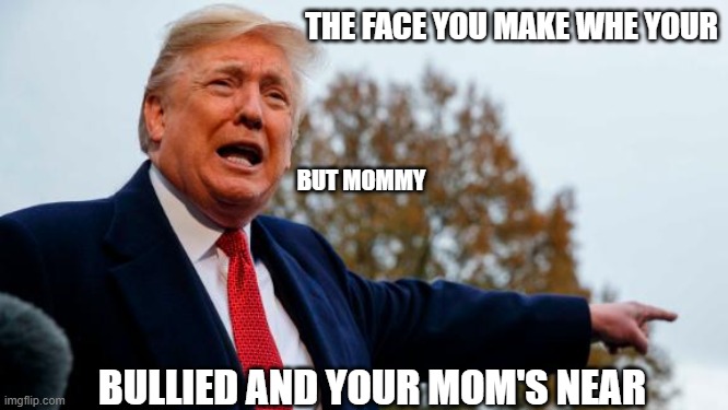 Trump loosing face | THE FACE YOU MAKE WHE YOUR; BUT MOMMY; BULLIED AND YOUR MOM'S NEAR | image tagged in donald trump,donald trump crying | made w/ Imgflip meme maker