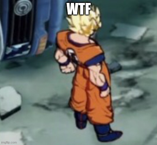 FighterZ Goku Template | WTF | image tagged in fighterz goku template | made w/ Imgflip meme maker