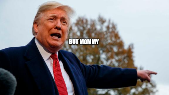 Trump Losses Blank Meme Template