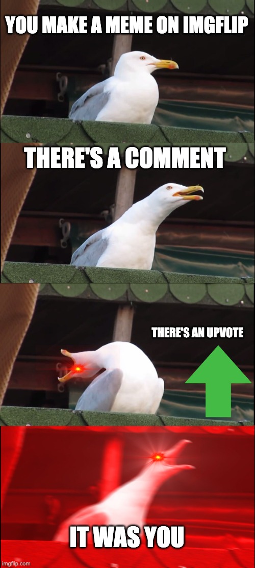 Inhaling Seagull Meme | YOU MAKE A MEME ON IMGFLIP; THERE'S A COMMENT; THERE'S AN UPVOTE; IT WAS YOU | image tagged in memes,inhaling seagull | made w/ Imgflip meme maker