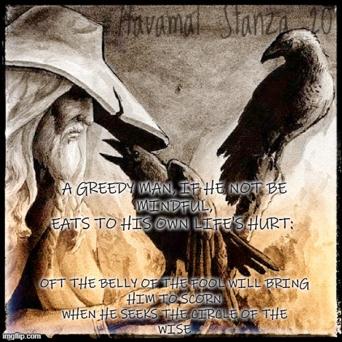 Havamal stanza 20 | A GREEDY MAN, IF HE NOT BE
MINDFUL,
EATS TO HIS OWN LIFE'S HURT:; OFT THE BELLY OF THE FOOL WILL BRING
HIM TO SCORN
WHEN HE SEEKS THE CIRCLE OF THE
WISE | image tagged in odin,heathen,viking,pagan,quotes | made w/ Imgflip meme maker