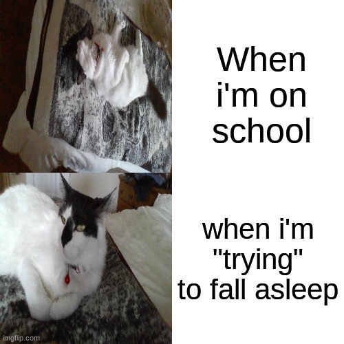 Me in school | When i'm on school; when i'm "trying" to fall asleep | image tagged in memes,drake hotline bling | made w/ Imgflip meme maker